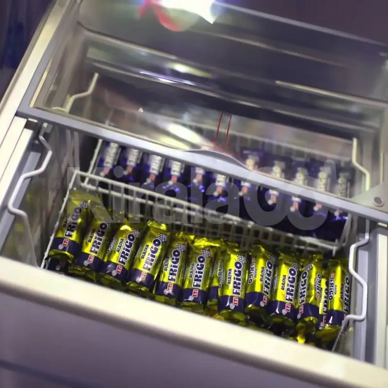 Alaska Frigo Dondurmacı Kiralama